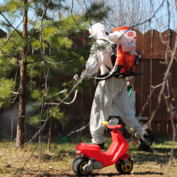 Обработка участка от клещей в Архангельске?